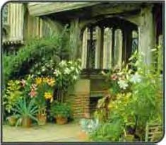 Front Yard Garden