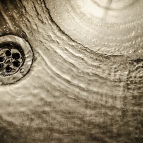 using grey water to keep your plants green