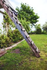 climbing the green ladder