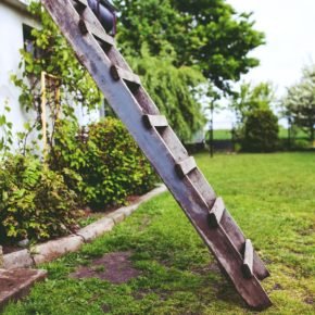 climbing the green ladder