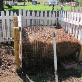 compost pile