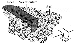 Direct Seeding