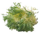 escarole - lettuce salad greens