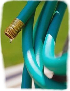 Garden Hose