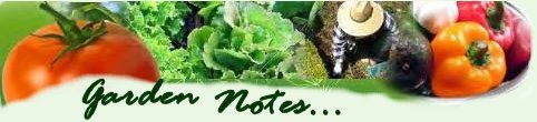 noteslogo.jpg - 18kb
