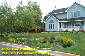  Rain Garden