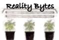 realitybyte.gif - 5kb