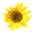 sficon.gif - 2kb