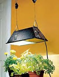 Garden Light