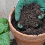 Can You Mix Potting Soil With Garden Soil