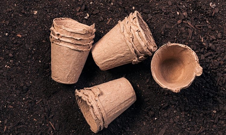 Is Cardboard Safe For Organic Gardening Is Cardboard Safe For Organic Gardening