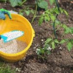 The 7 Best Fertilizers For Your Garden- An Gardener’s Guide