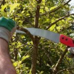 The 7 Best Garden Hand Saws For Gardening Enthusiasts